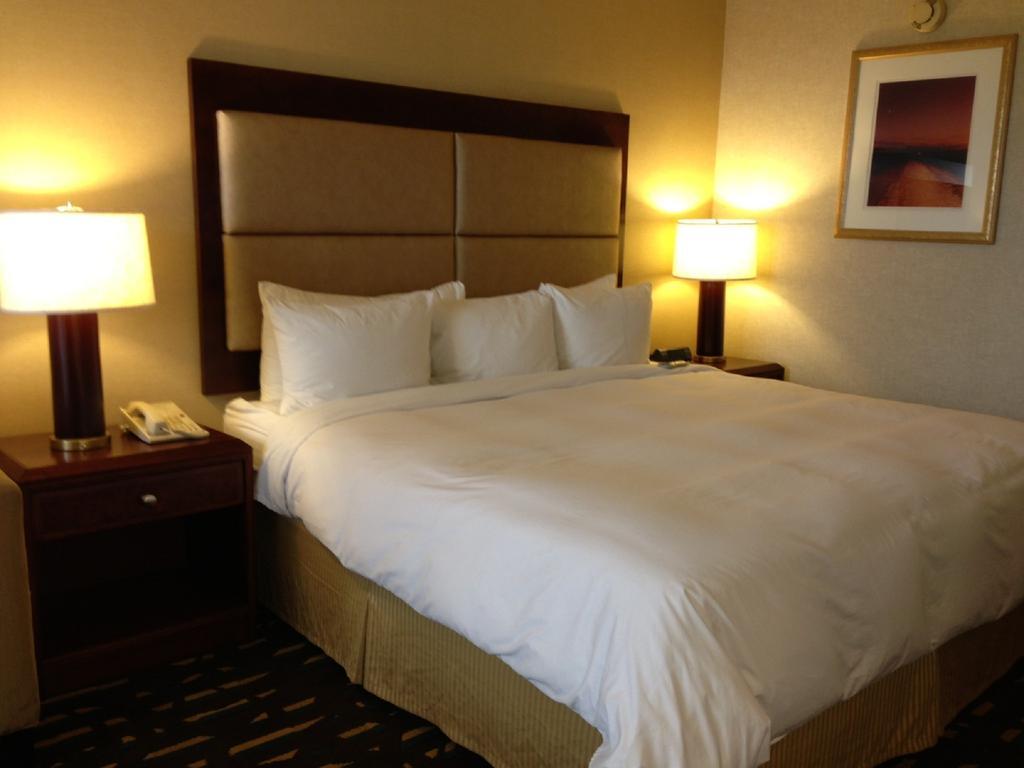 Wyndham Chicago O'Hare Hotell Rosemont Exteriör bild